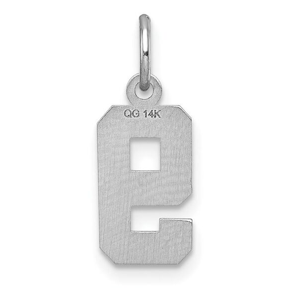 14k White Gold, Varsity Collection, Small D/C Pendant, Number 9 - Picture 3 of 5
